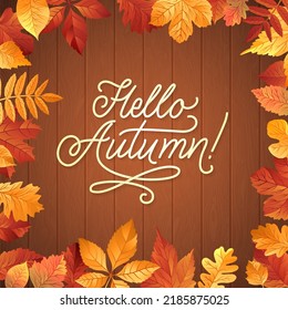 Hello Autumn Lettering. Hand Written Typography on Wooden Background. Vector Leaves Frames Illustration for Your Design.