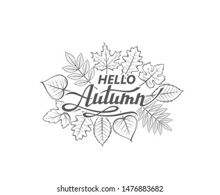 hello autumn lettering label with woody leaves isolated on white background