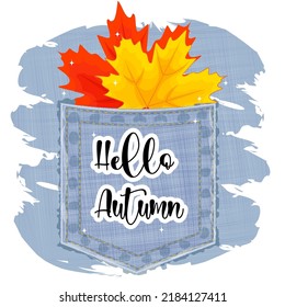 Hello Autumn, Lettering, Autumn leaves in jeans pocket, vector illustration, print