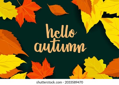 Hello Autumn Lettering On Dark Green Background.Autumn Leave Frame With Hello Autumn Hand Writing. Vector Illustration Of September Card With Fall Leave