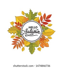 hello autumn lettering pattern with woody leaves