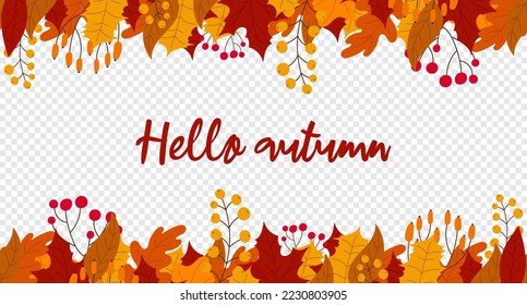 Hello autumn lettering postcard. Background with leaves and berries in the fall. Hello autumn seamless banner with orange and red leaves. Vector illustration