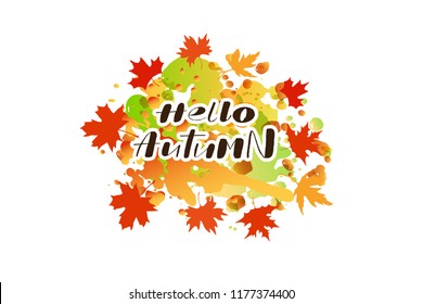 Hello Autumn lettering text with red, brown, orange maple leaves and watercolor splashes. Vector illustration. Floral template for personal card, company logotype or invitation card.