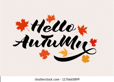Hello Autumn lettering typography.  Vector illustration on the textured background as poster, card, postcard, invitation template. Concept advertising with red, orange and yellow maple leaves. 
