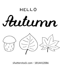 Hello autumn lettering, vector illustration. Composition with calligraphy and fall leaves. Handwritten phrase for cards, banner, poster. Hand drawn quote for print, decoration, seasonal design