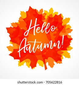 Hello Autumn maple leaf card. Lettering vector illustration on the background of autumn leaves. Fall sale concept autumn advertising for flyers, banners or posters