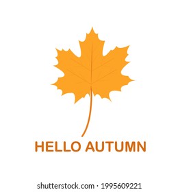 Hello autumn. Maple leaf. Vector graphics