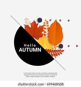 Hello autumn with modern colorful leaves and fruits background , vector , illustration