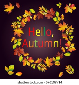 Hello, autumn. Multicolored text in a frame made from autumn maple leaves, oak, chestnut, etc. Postcard, background.