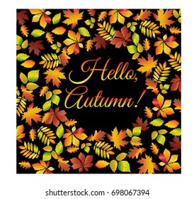 Hello, autumn.. Multicolored text framed from autumn leaves of maple, oak, chestnut, etc. Postcard, background.