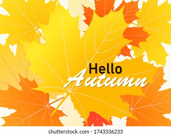 Hola otoño sobre el fondo de la hoja de arce naranja. Ilustración vectorial, eps 10