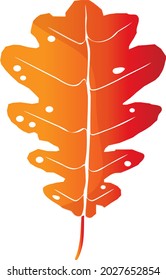Hello autumn. One autumn orange oak leaf. The gradient. Abstract minimal for autumn banner, prints, art, home decor drawing, fabric and wallpaper.