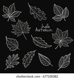 Hello autumn phrase on black background with leaves