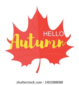 Hello autumn phrase on red maple leaf background. Vector Illustration