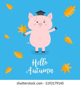 Hello autumn. Pig piglet Graduation hat Academic Cap Orange red fall leaf. Happy surprised emotion. Cute funny cartoon baby character Pet animal collection Blue background Isolated Vector illustration