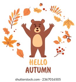 Hello autumn postcard with bear. Cute bear fall leaves around.Hello autumn. Cute forest animal.Cute cartoon teddy bear.Vector flat illustration.Falling leaves, oak acorns.