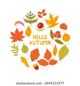 Hello autumn postcard. Autumn coming concept. Autumn leaves on white background. Vector illustration