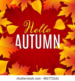 Hello autumn poster design template. Fall poster with leaves typography.