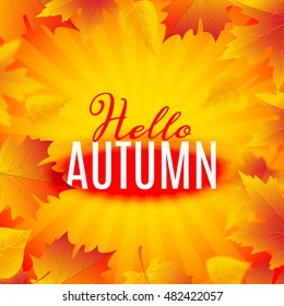 Hello autumn poster design template. Fall poster with leaves typography.