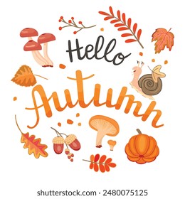 Hello Autumn poster with hand lettering,fall leaves,mushrooms,pumpkin and cartoon snail.Autumnal card with gifts of nature.Colorful vector design isolated on white background.Print on fabric and paper