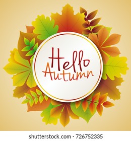 Hello Autumn - poster with leaves. Vector