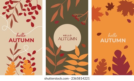 Hello autumn poster set, vector poster template, autumn plants, autumn leaves, flyer, poster, flyer, vertical banner. Design elements.