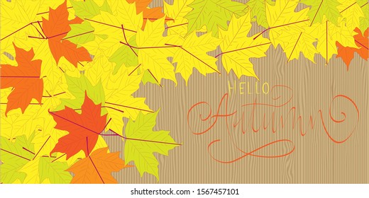 Hello autumn poster template of fall season leaf