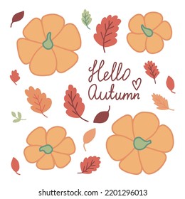 Hello autumn pumpkin and falling leaves vector set. Flat vector pumpkins top view and autumn leaves set.