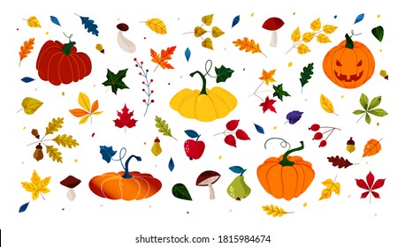 Hello autumn. Pumpkin of various shapes. Fall leaves and berries. Thanksgiving and Halloween Elements. Hand drawn vector.  Illustrations for poster, background or card. Stamp texture.