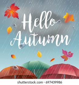 Hello Autumn, rainy day landscape with fall leaves, umbrella, rain, sky with clouds. Autumn Rainy sky, weather, fall season, rain drops background vector illustration.