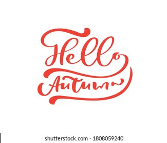 Hello Autumn red vector calligraphy text. Hand drawn fall lettering phrase. Illustration for greeting card or postcard print design. Template text design isolated on white background.