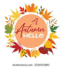 Hallo Herbstrunde Rahmen mit gelben Herbstblätter. Hallo Herbstvektor. Herbstdesign für Werbung, Verkaufsbanner, Grußkarten und Social-Media-Inhalte. Herbstblätter, Vektorgrafik einzeln auf Weiß.