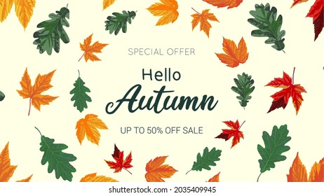 Hello Autumn sale background layout. Fall seasonal template. Decorate with maple and oak leave. Design of social media, banner, poster, newsletter, advertisement, leaflet, placard, brochure, wallpaper