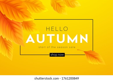 Hello Autumn sale background with realistic yellow autumn leaves. Vector illustration EPS10