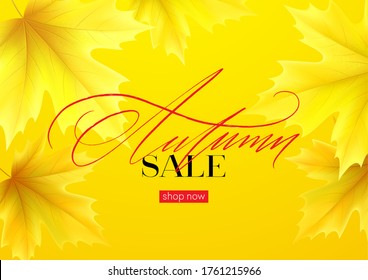 Hello Autumn sale background with realistic yellow autumn leaves. Vector illustration EPS10