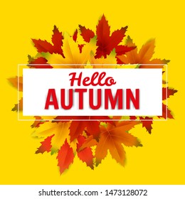 Hello Autumn Sale Background Template, with falling bunch of leaves, shopping sale or seasonal poster for shopping discount promotion, Postcard and Invitation card. Vector illustration Voucher, Banner