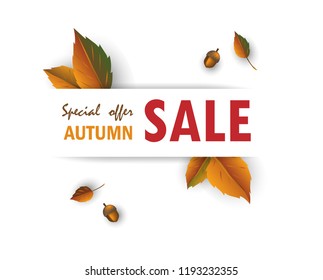 Hello autumn sale banner template with fall leaves seasonal for shopping sale, poster, card, label, design discount . Vector illustration.