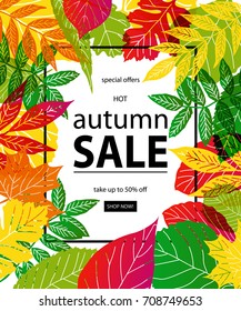 Hello Autumn Sale text poster of September leaf fall or autumnal foliage of maple, oak acorn and elm for shopping sale design or promo poster and frame leaflet or web banner