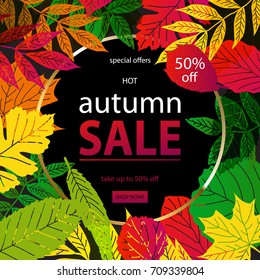 Hello Autumn Sale text poster of September leaf fall or autumnal foliage of maple, oak acorn and elm for shopping sale design or promo poster and frame leaflet or web banner. On a black background