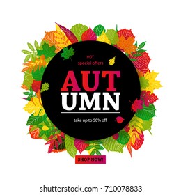 Hello Autumn Sale text poster of September leaf fall or autumnal foliage of maple, oak acorn and elm for shopping sale design or promo poster and frame leaflet or web banner. On a white background