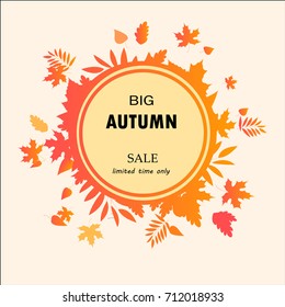 Hello Autumn Sale text poster of September leaf fall or autumnal foliage of maple, oak acorn and elm for shopping sale design or promo poster and frame leaflet or web banner