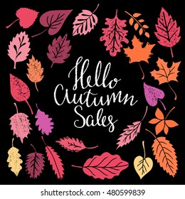 Hello autumn sales set. Leaves isolated on black background. Calligraphic text, handwritten