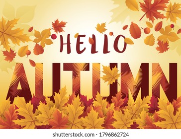 Hello autumn season design. Autumn background with fall leaves. Autumn seasonal template with leaf. Fall season shopping sale banner, leaflet, flyer, invitation card, Poster. Frame Border with leaves.