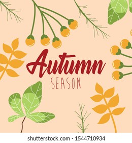 hello autumn season leafs and calligraphy vector illustration design