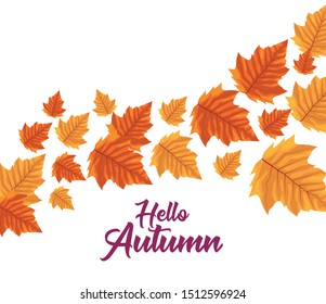 hello autumn season leafs decoration vector illustration design