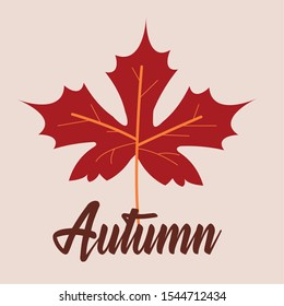 hello autumn season maple leaf and calligraphy vector illustration design