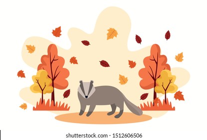 hello autumn season scene with raccoon vector illustration design