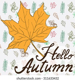 Hello autumn. Autumn season Vector Hand drawn background with autumn leaf and Lettering. Drawing doodle leaves collection.