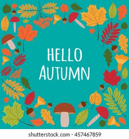 Hello Autumn. Seasonal background with autumnal elements. Mushrooms, leaves, acorns and rowans berries. Nature design for card, banner, flyer or wallpaper.