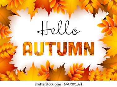 Hello autumn seasonal banner design. Text in frame with yellow and orange fall leaves. Vector illustration can be used for posters, brochures, signs